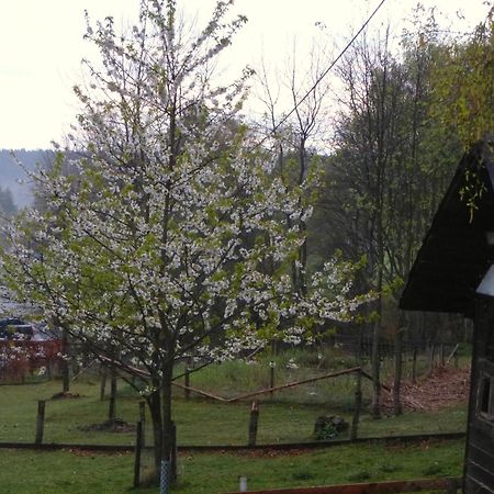 Haus Sonnentau Lägenhet Monschau Exteriör bild