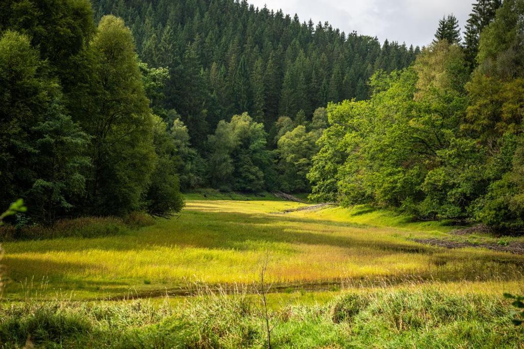 Haus Sonnentau Lägenhet Monschau Exteriör bild